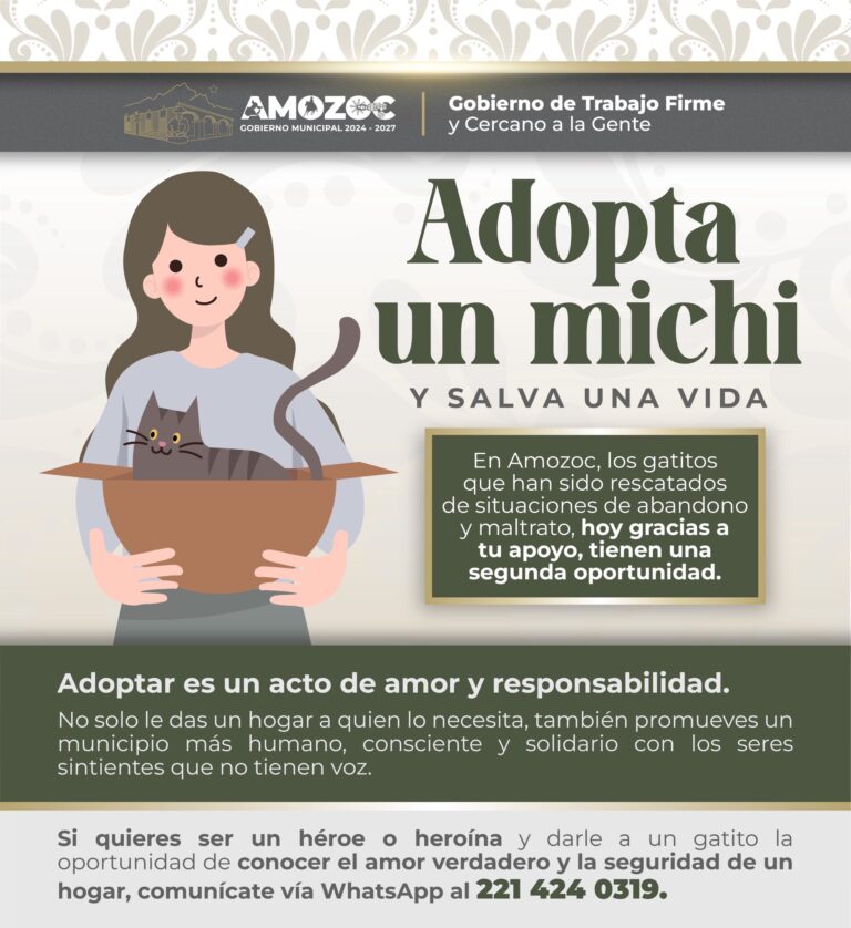 Adopta 14-Nov-25 1