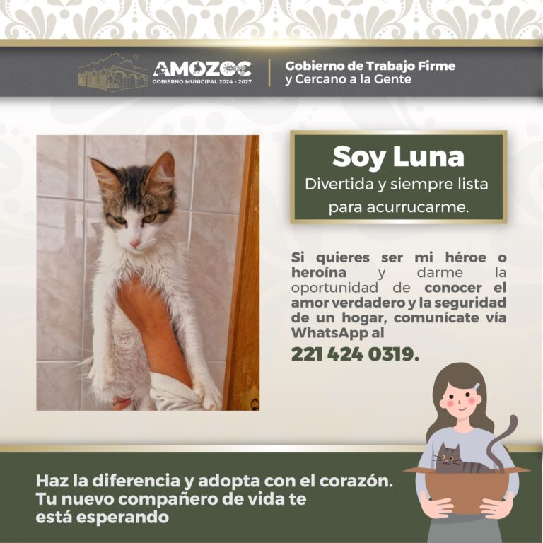 Adopta 14-Nov-25 2