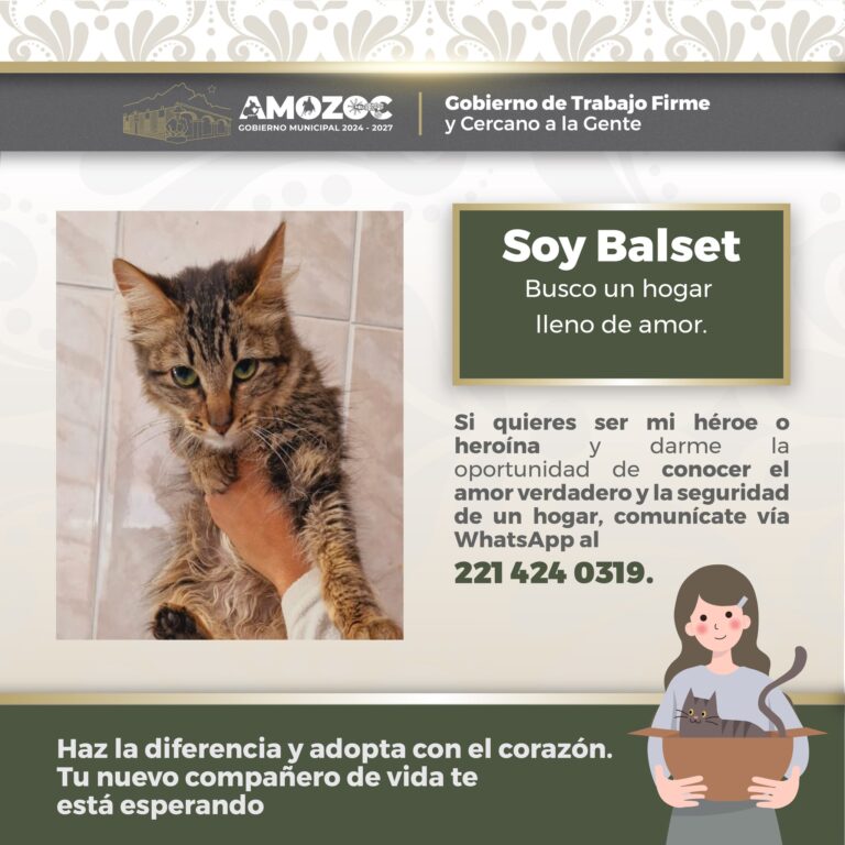 Adopta 14-Nov-25 4