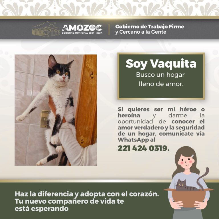 Adopta 14-Nov-25 5